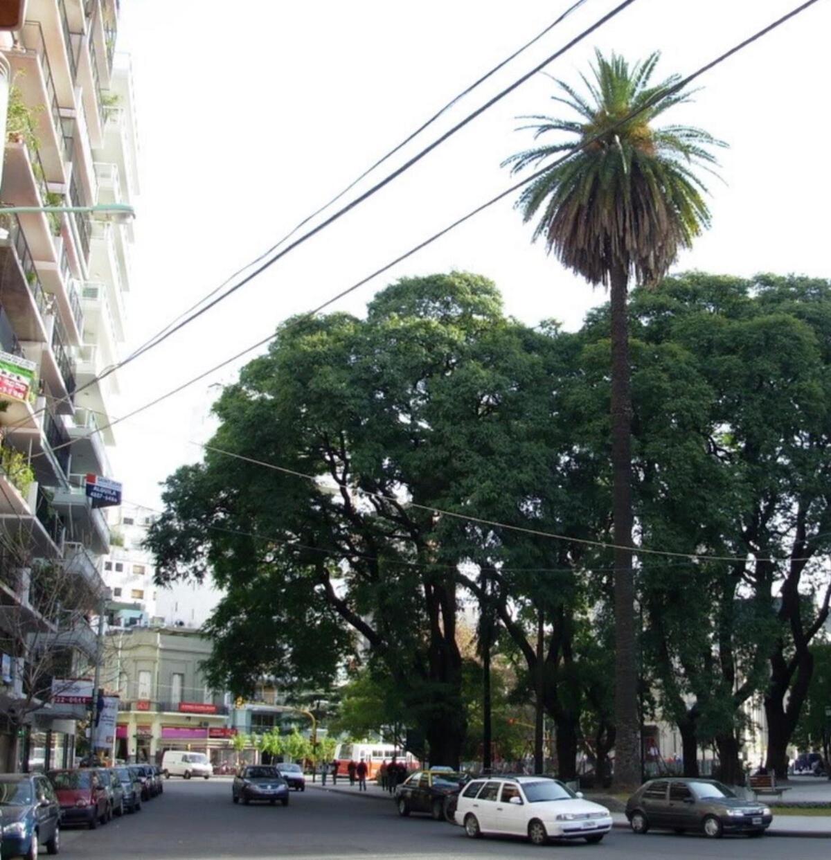 Alt Palermo -bright & Modern - 6 Pax * Ciudad Autónoma de Buenos Aires